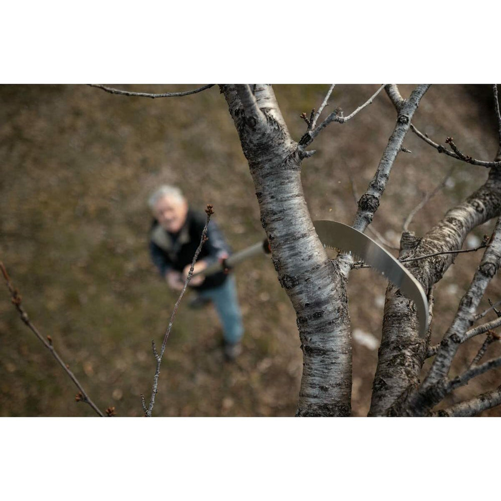 V8H59A8B3F3CB0513BA8FC1959C3FEE9C65R3447926P2