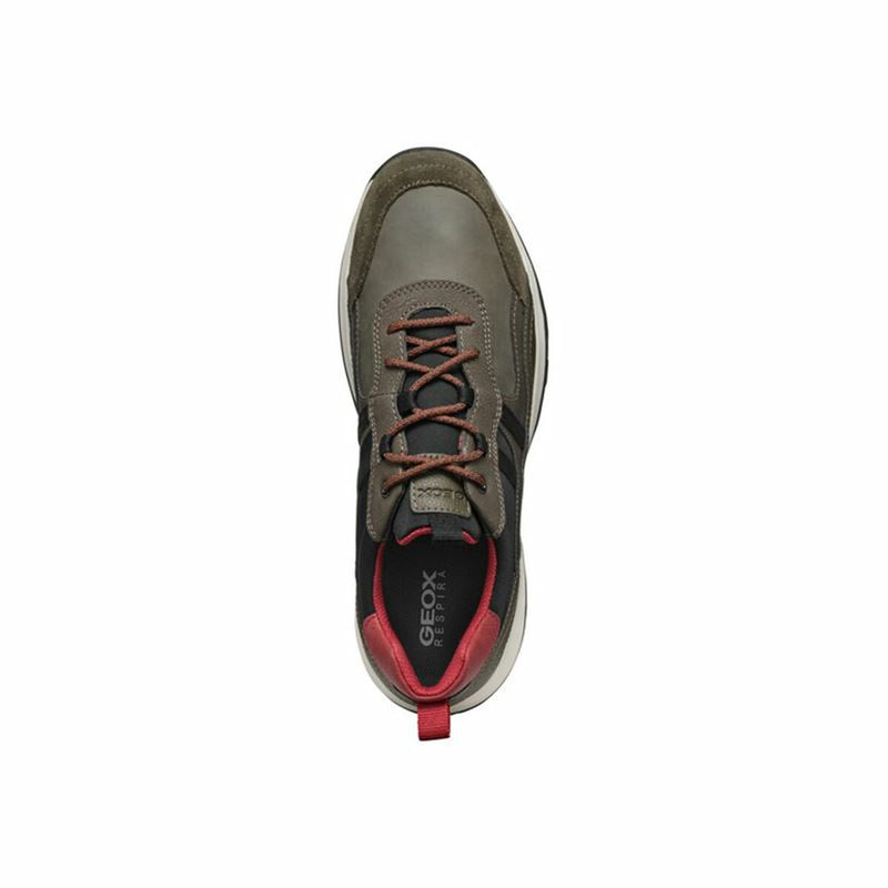 Chaussures casual homme Geox Terrestre Marron