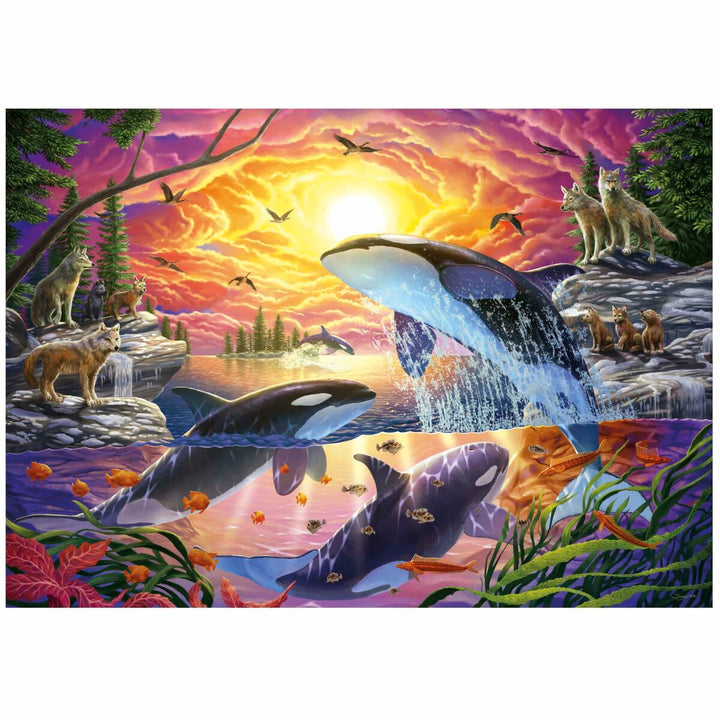 Puzzle Educa Orcas y Lobos 4000 Pieces