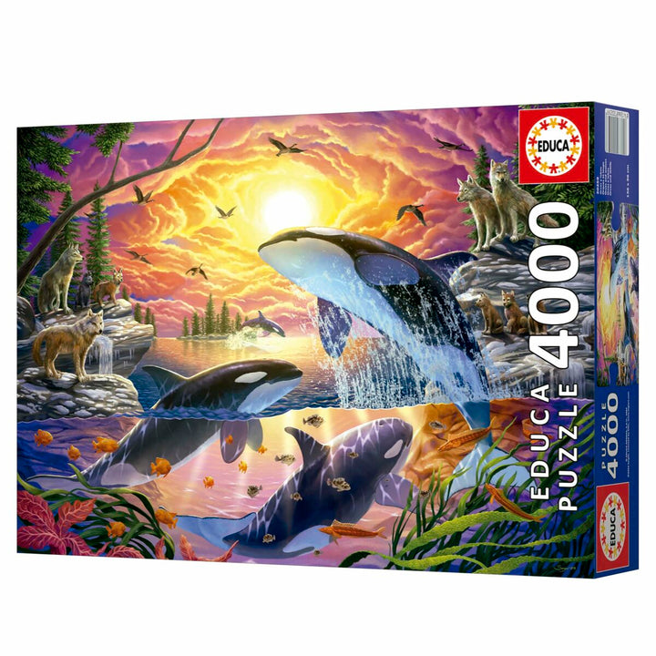 Puzzle Educa Orcas y Lobos 4000 Pieces