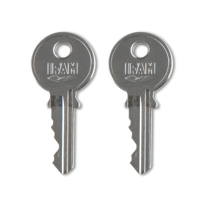 Verrouillage des clés IFAM Inox 40 Arc Acier inoxydable (40 mm)