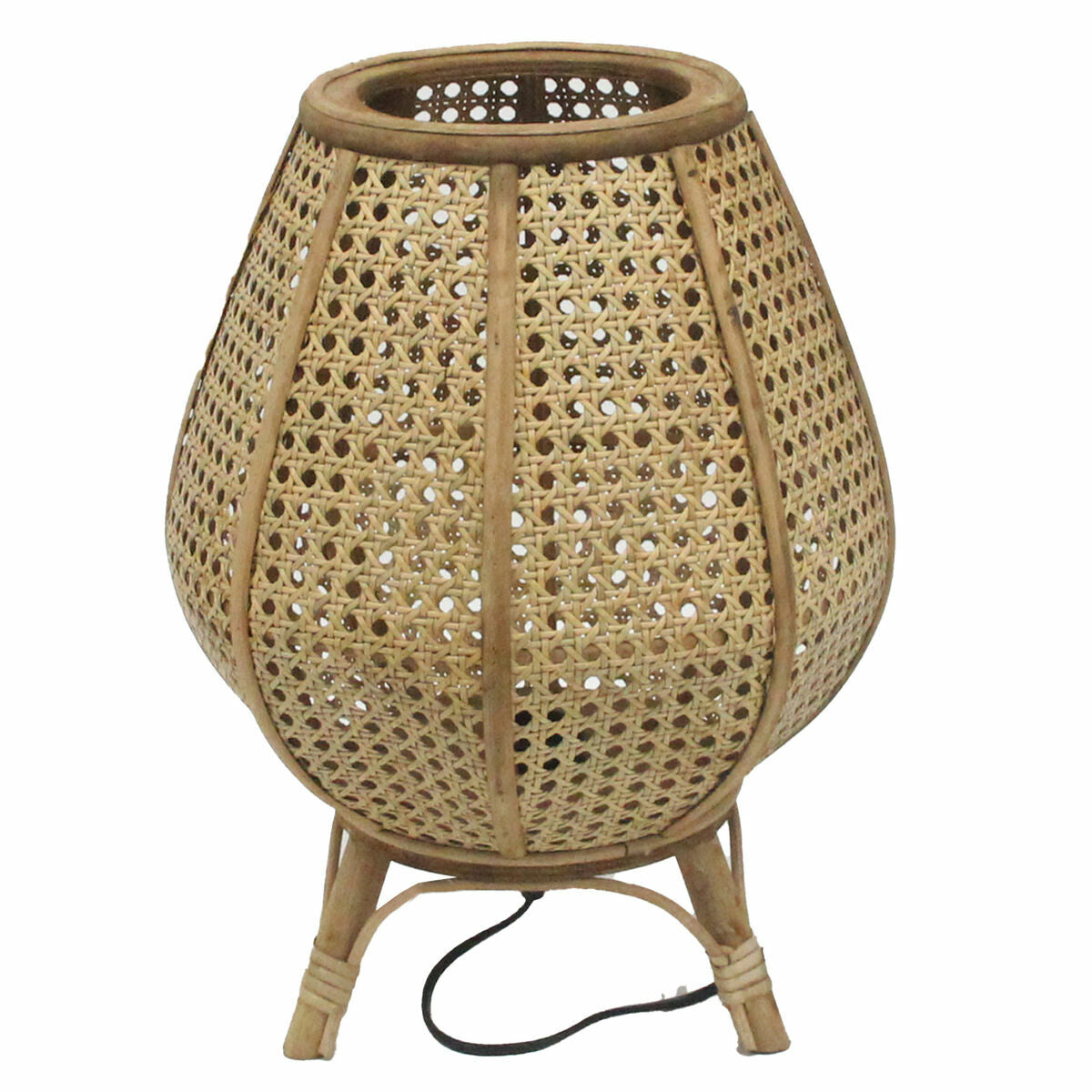 Startseite | Garten