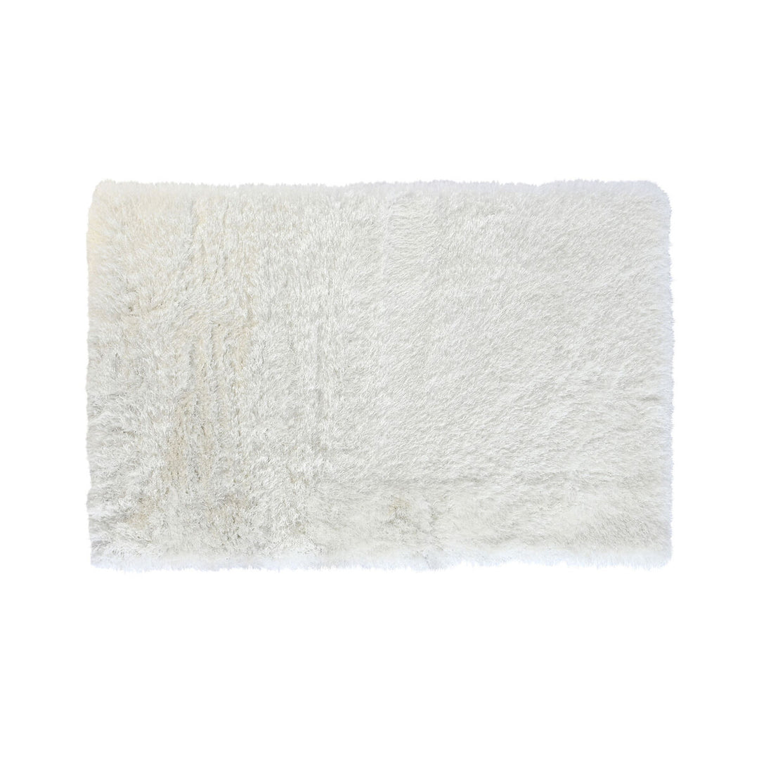 V5HC13E9F362F5ED7E5400A06A9CFDED82DR2401334P1