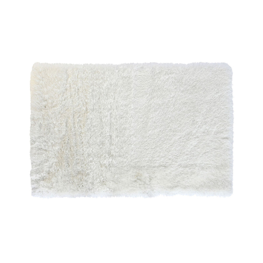 V5HC13E9F362F5ED7E5400A06A9CFDED82DR2401334P1