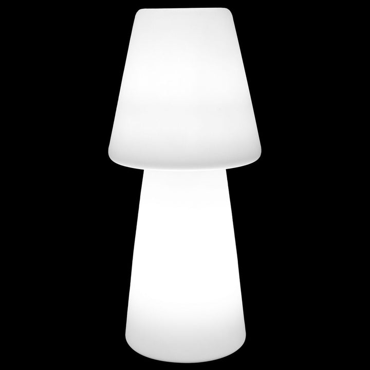 V7H341CEC1714C44FEDABA2AAFBAC068E62R7707333P1