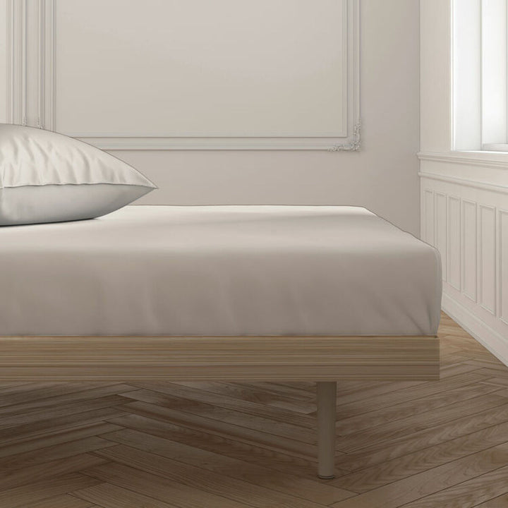 V4H54077C5A2F6C56BF5C0647DA47A8066FR5596980P3