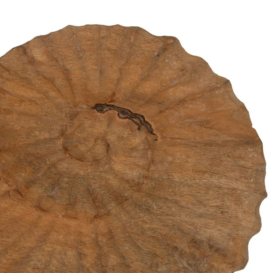 Decorative Figure Beige Snail 49,5 x 9 x 53,5 cm