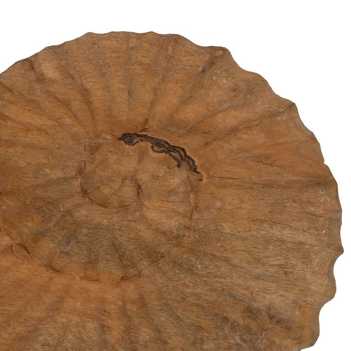 Decorative Figure Beige Snail 49,5 x 9 x 53,5 cm