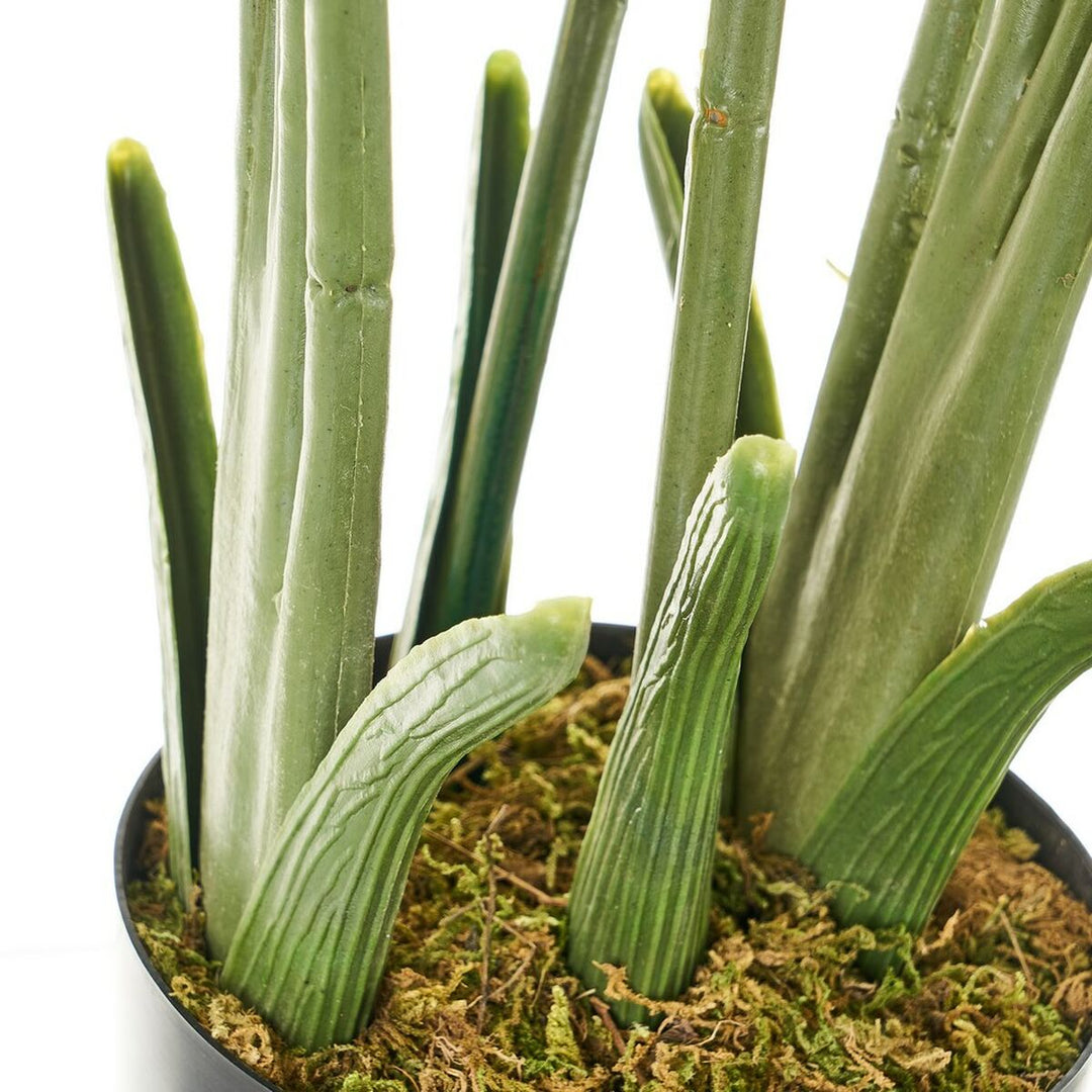 Decorative Plant Polyethylene Plastic Palm tree 45 x 45 x 114 cm