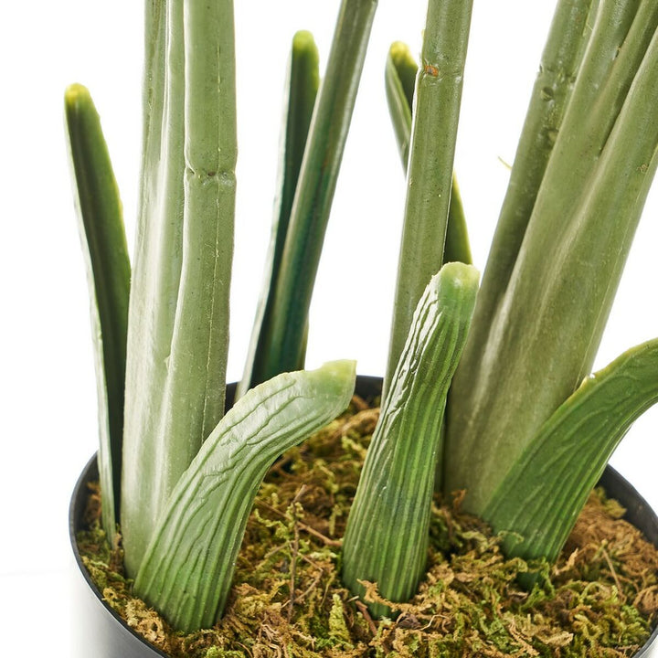 Decorative Plant Polyethylene Plastic Palm tree 45 x 45 x 114 cm
