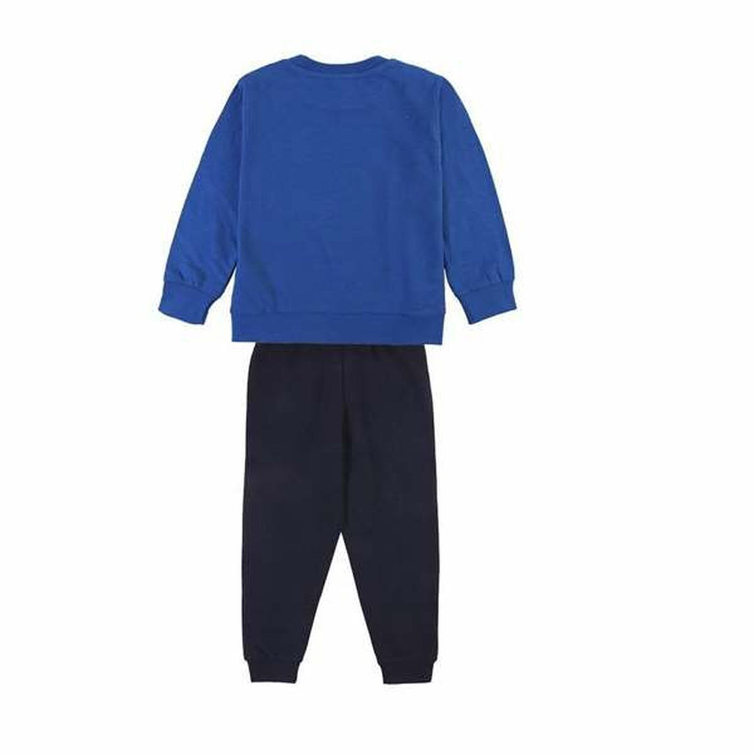 V3HB690845235D328B19F8F3936BBD3F0DAR5613979P2