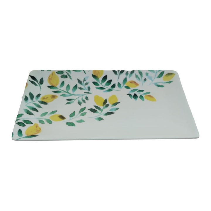 V4HBE3A15241D78009EB589CAA9B651FC47R5647230P2