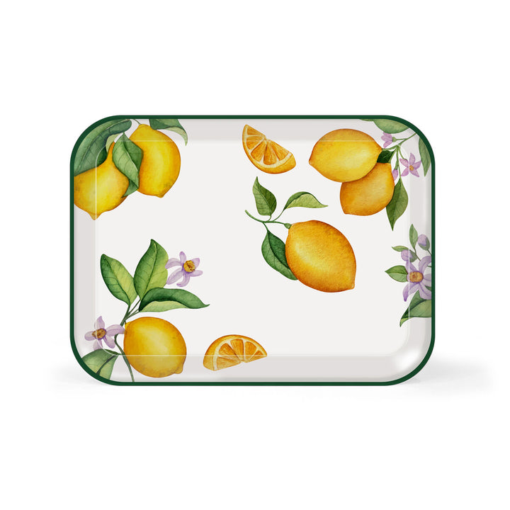 V4HC31B819495AD54E27040E3722CBB82CAR6844540P4