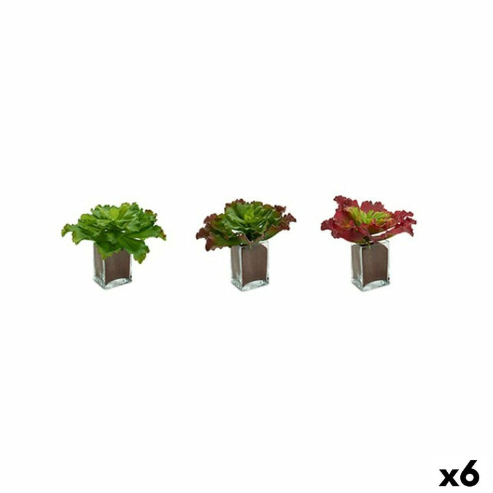 Decorative Plant Ibergarden Plastic Sheets Large 31 x 24 x 31 cm Bicoloured (6 Units)
