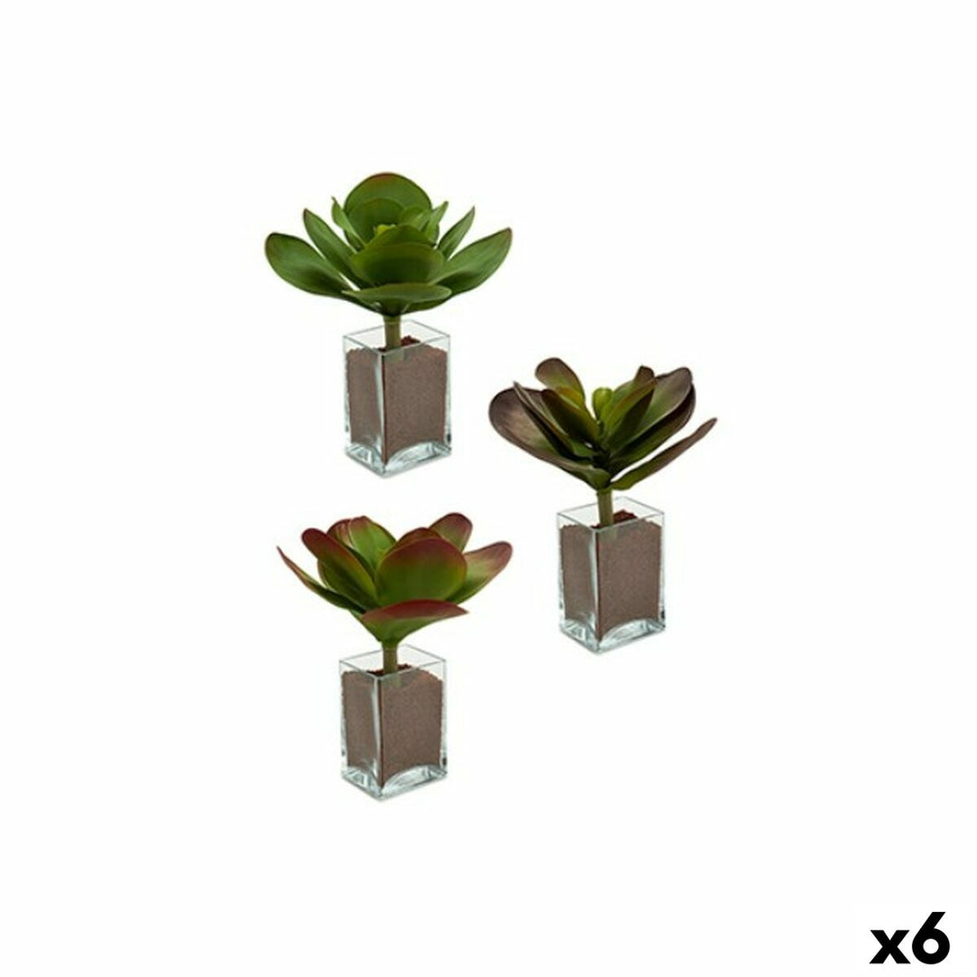 Decorative Plant Ibergarden Plastic Sheets Large 27 x 29 x 27 cm Bicoloured (6 Units)