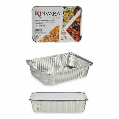 Set of Kitchen Dishes Disposable With lid Aluminium 19 x 6,8 x 25,5 cm (24 Units)