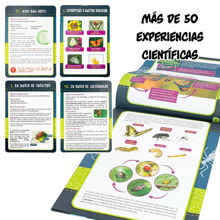 Science Game Lisciani Giochi Insectos ES (6 Units)