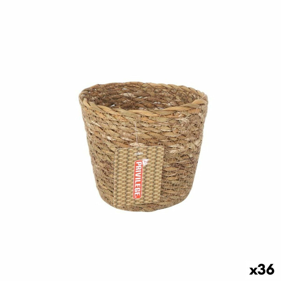 V3H6D6626845EA0D58959247E7558C6CEA2R5603491P1